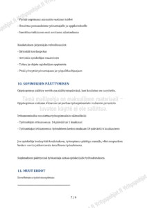 Oppisopimus - Muokattava Mallipohja - Image 7
